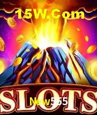 New555 Salvador - Strategy