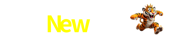 New555